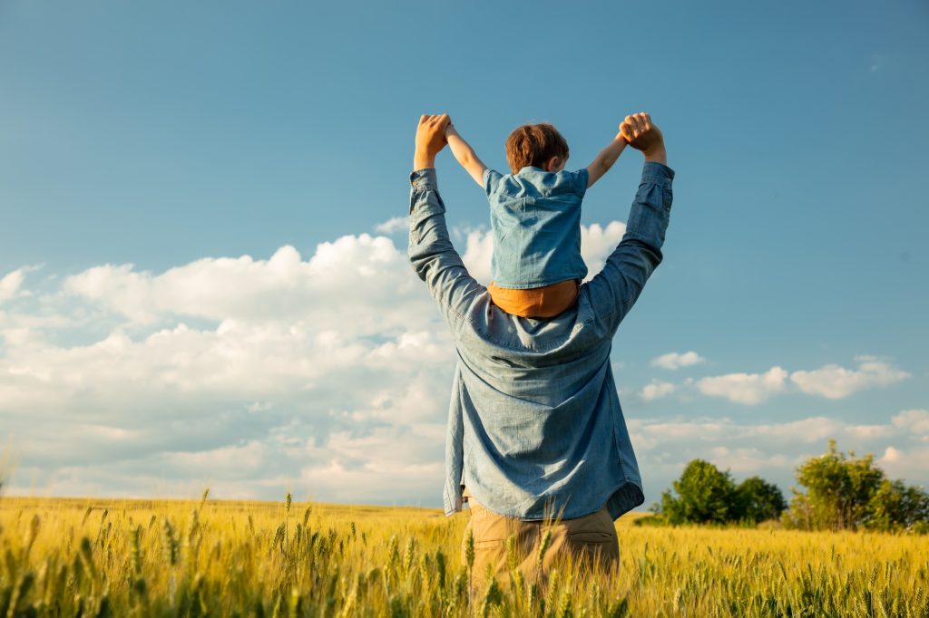 father and son in wheat field, child sitting on his fathers shoulders